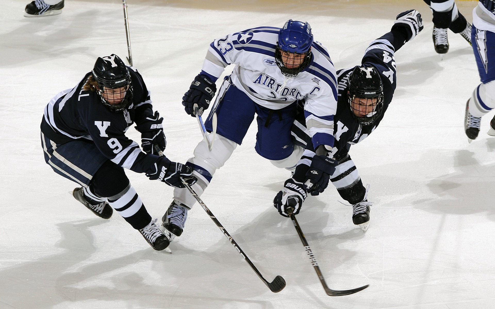 九游娱乐平台-_女性运动员崭露头角，打破性别界限_，女性运动员曝光